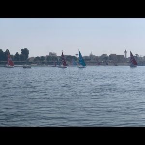 Meet your Posher, Ivy